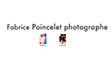 Fabrice Poincelet